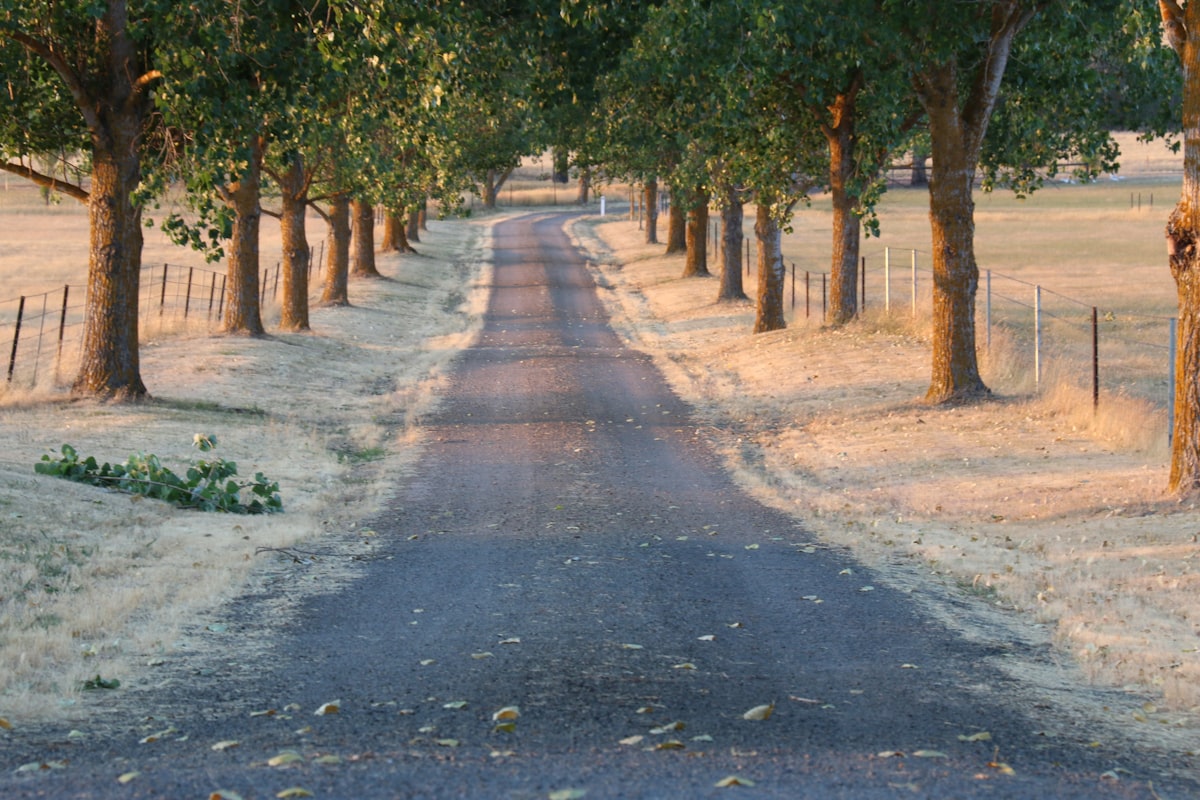 Resin bound driveway